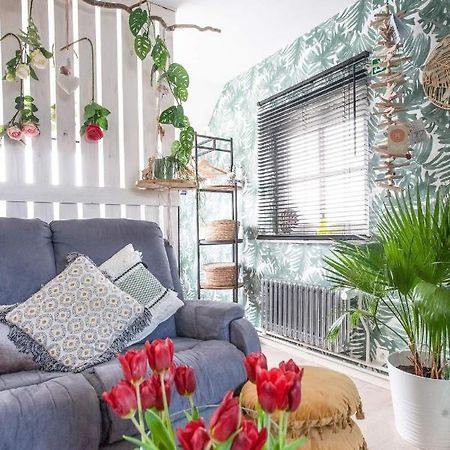 Zalig Cosy appartement 2-4 pers.fietsen&tuin De Haan Eksteriør bilde