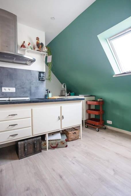 Zalig Cosy appartement 2-4 pers.fietsen&tuin De Haan Eksteriør bilde